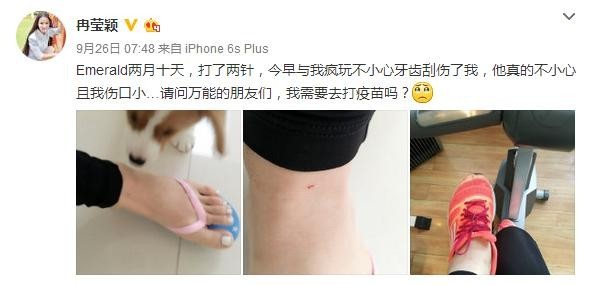 冉莹颖被狗咬伤就医被敷衍了? 冉莹颖被狗咬伤就医被敷衍了?