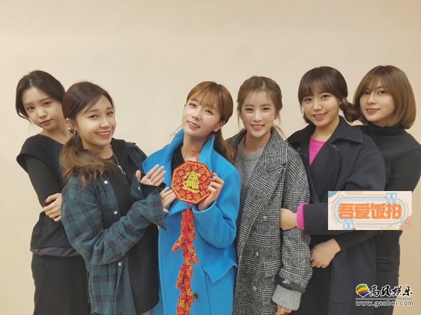 Apink也向各位香港Panda拜年了 Apink也向各位香港Panda拜年了