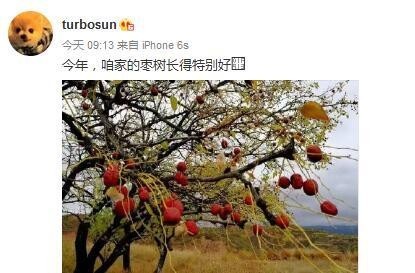 娘娘变淘宝卖家了?还申明不包邮? 娘娘变淘宝卖家了?还申明不包邮?