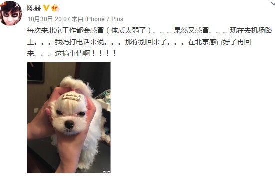 陈赫感冒妈妈不让其回家了？