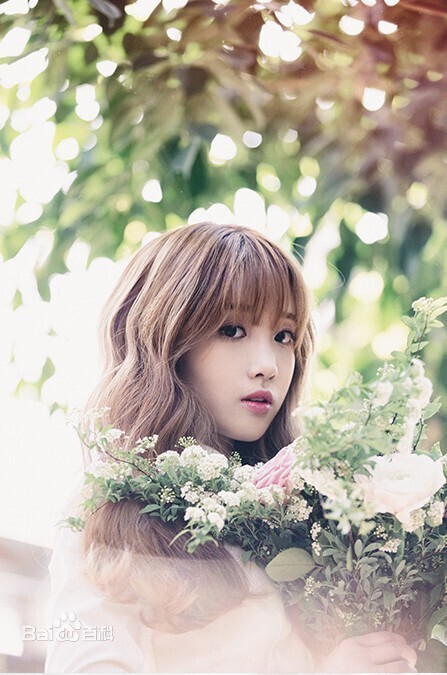 lovelyz刘智媛在队里担当什么职务？