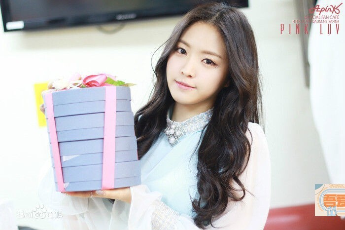 Apink孙娜恩在队里担当什么职务？