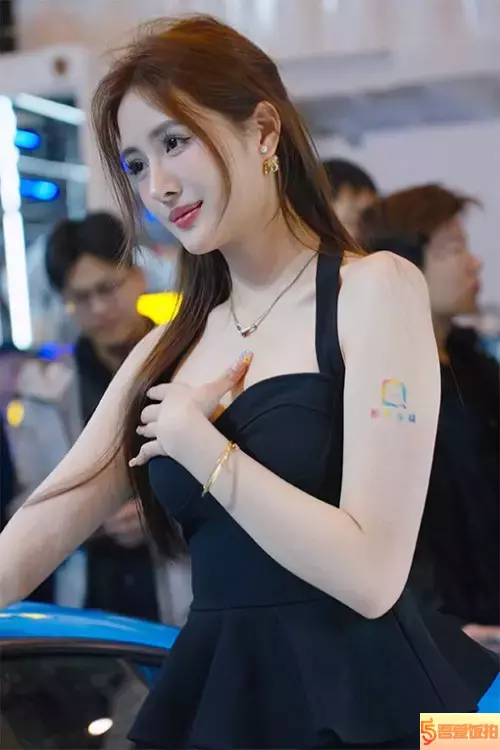 平面模特 车模 饭拍秀 [ID138213 版本]【20合集 8.29 GB】