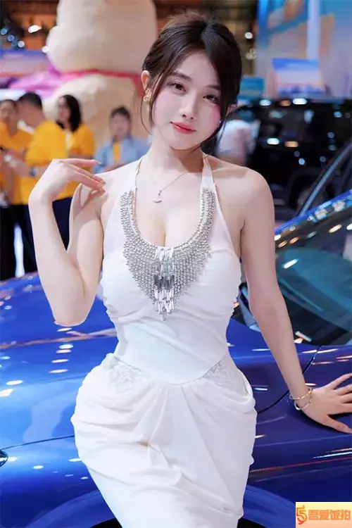 平面模特 车模 饭拍秀 [ID137663 版本]【20合集 12.5 GB】