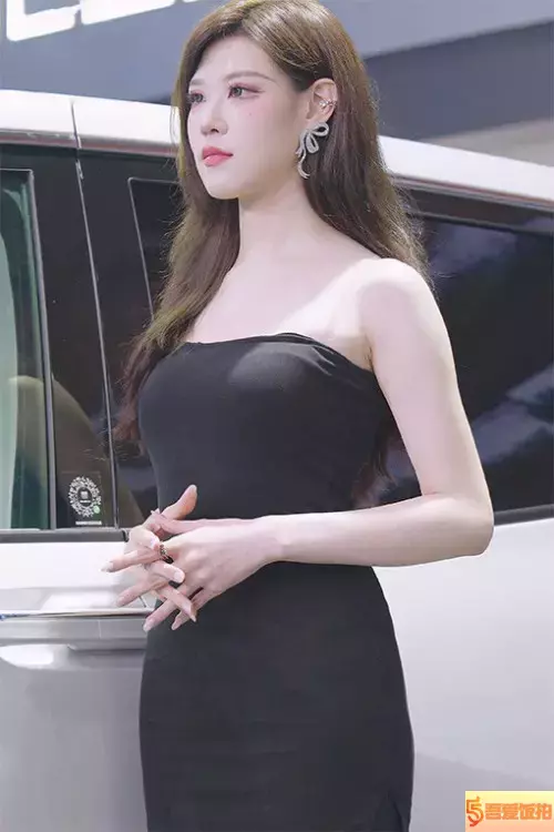 平面模特 车模 饭拍秀 [ID137674 版本]【20合集 9.12 GB】